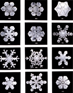 Snowflakes photographed by Wilson A. Bentley