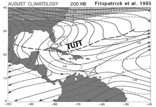 TUTT Diagram from Fitzpatrick, 1995